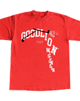 GOOD LI-On Wisconsin x WDT
