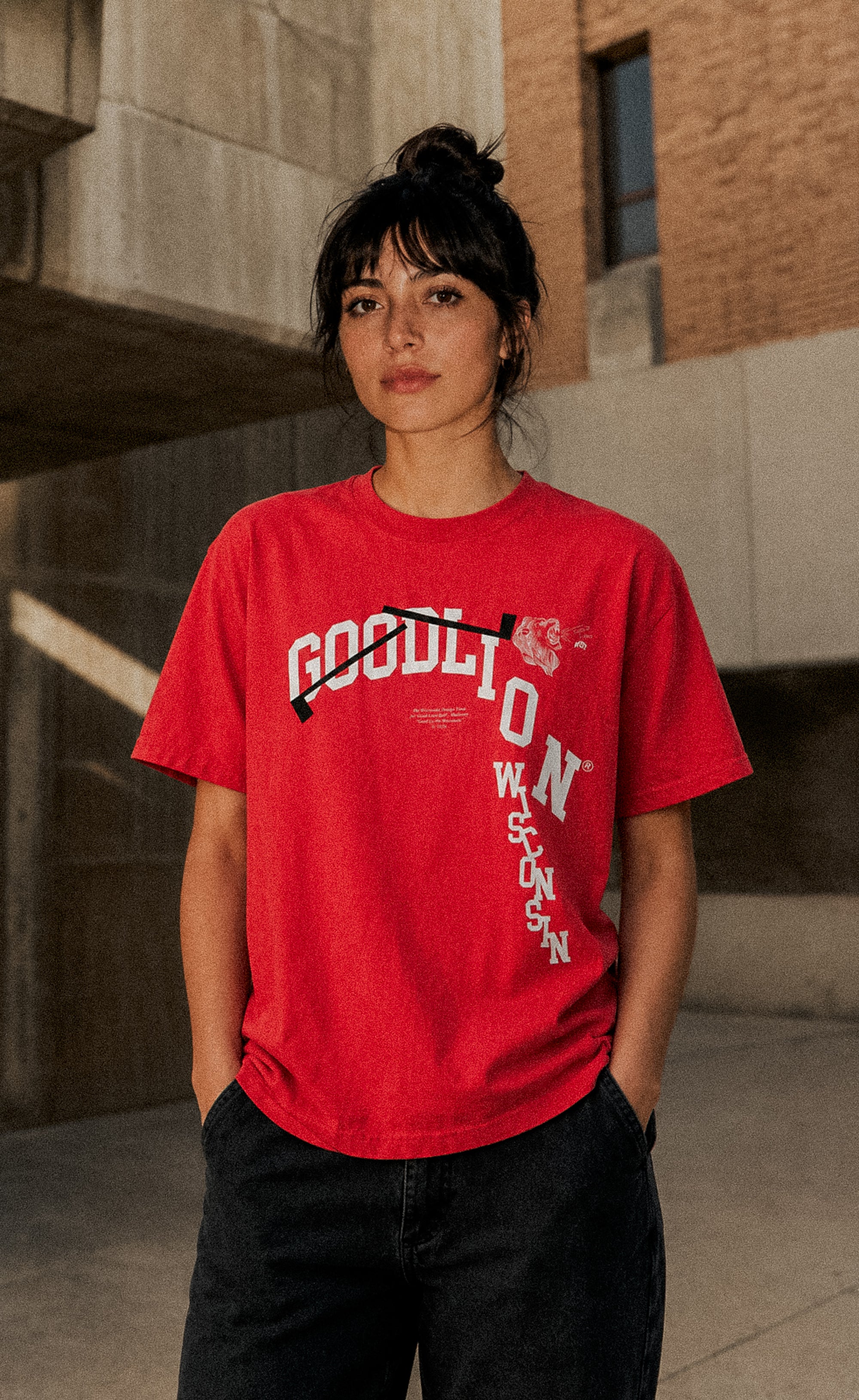 GOOD LI-On Wisconsin x WDT